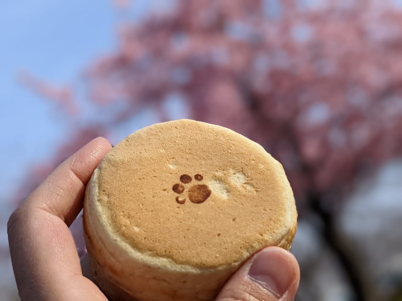 和こく屋　ハムマヨ