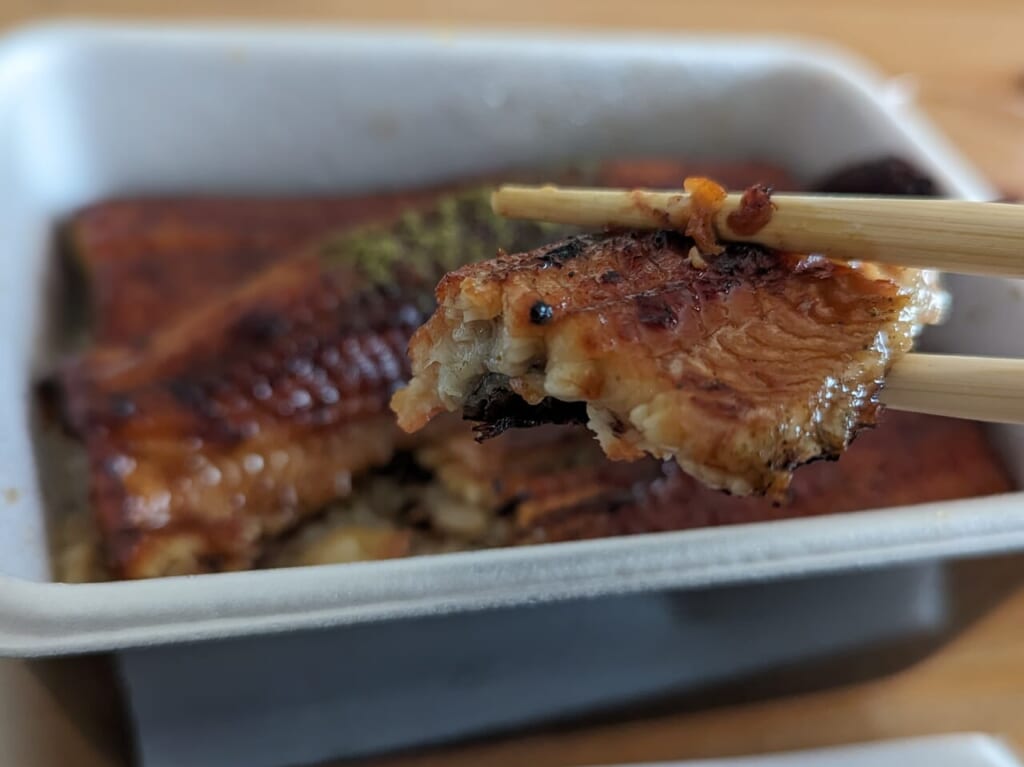 鰻