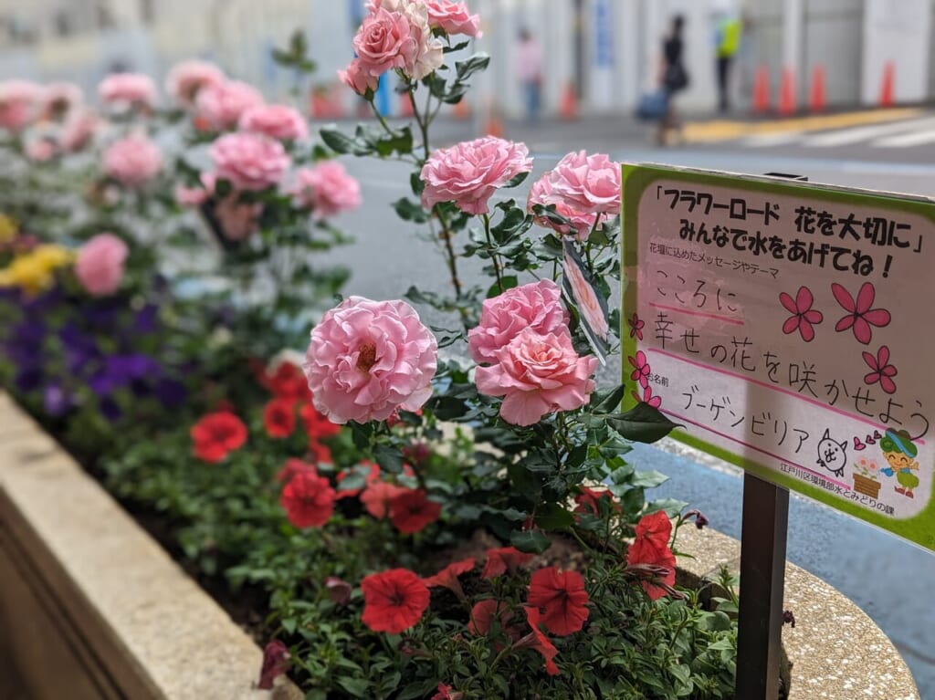 花壇