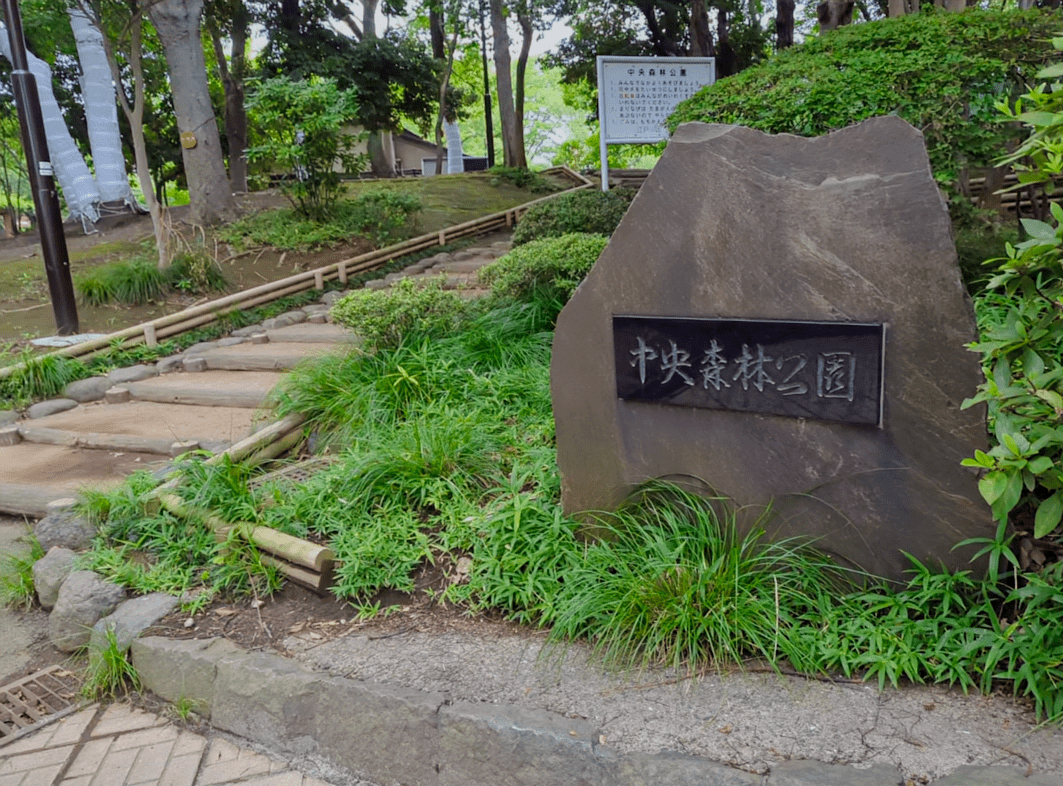 森林公園