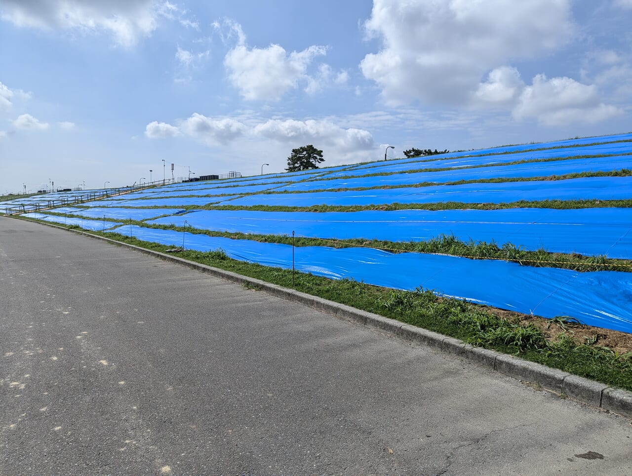 河川敷