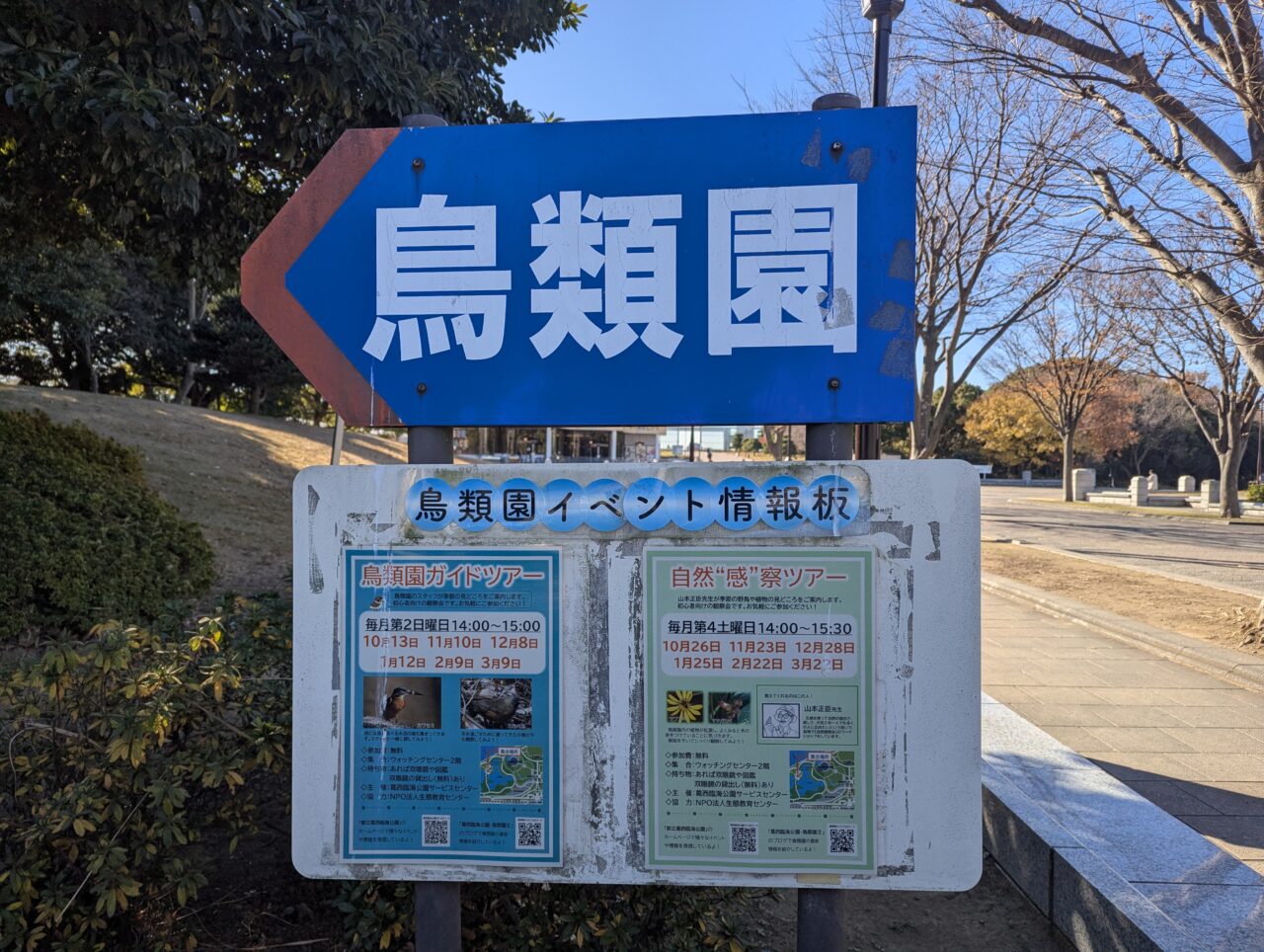 鳥類園