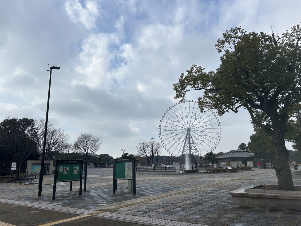 葛西臨海公園の花とダイヤの大観覧車