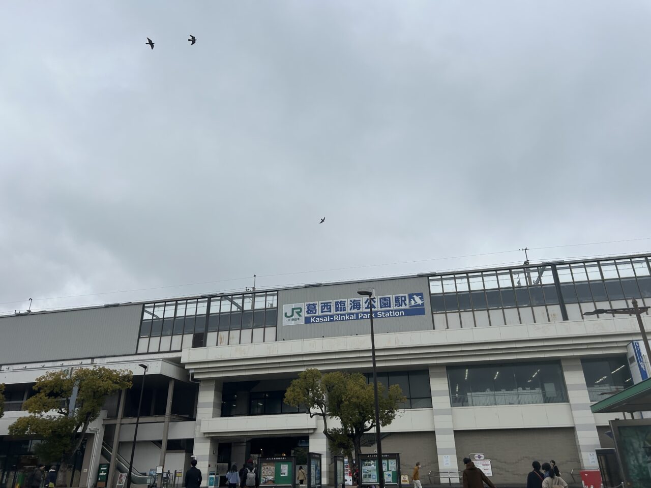 葛西臨海公園の水仙まつり