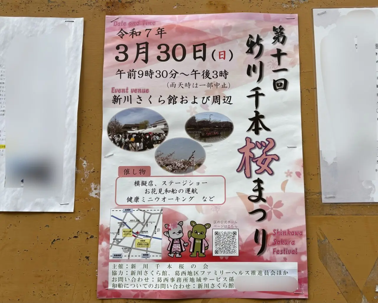 第十一回新川千本桜まつり