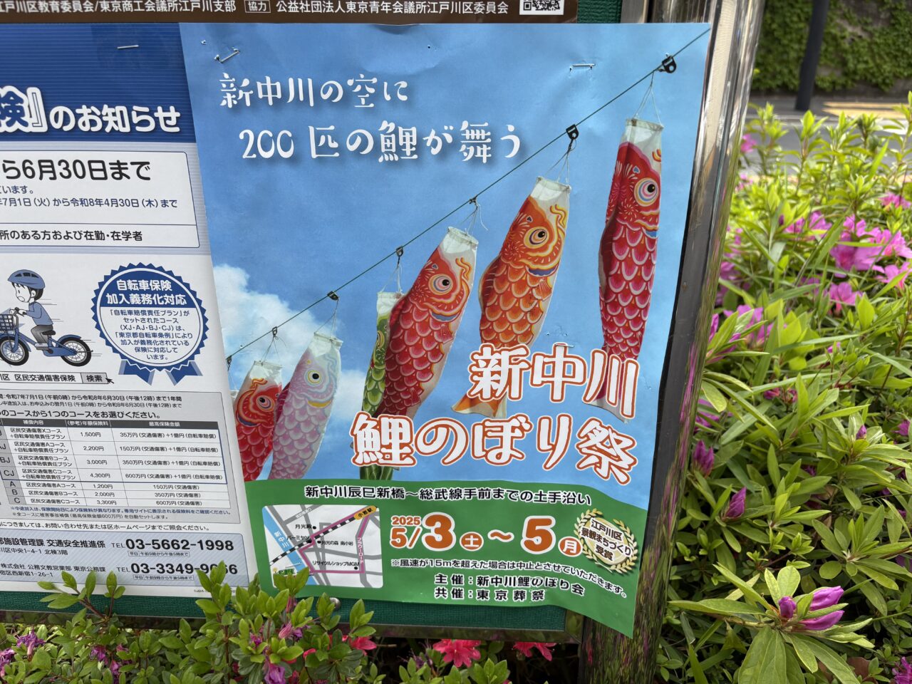 新中川鯉のぼり祭り2025