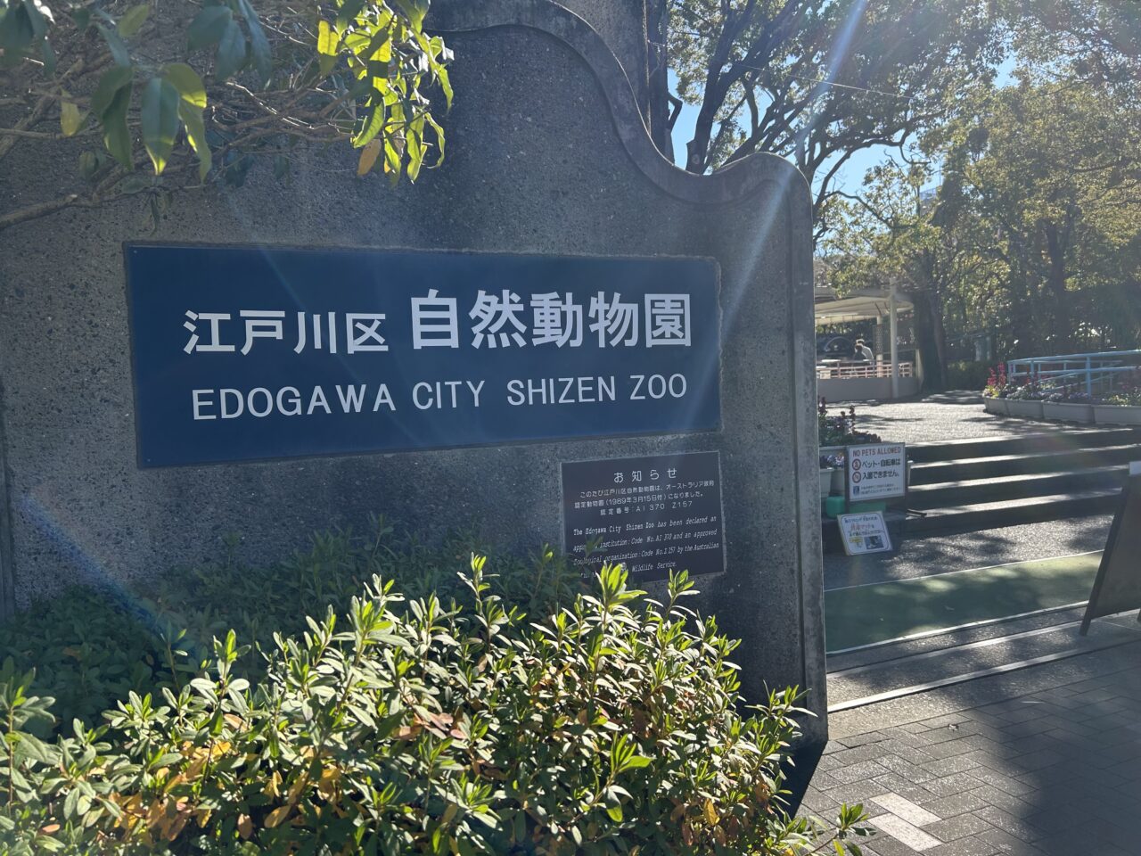 行船公園の自然動物園でヒツジの毛刈りショー