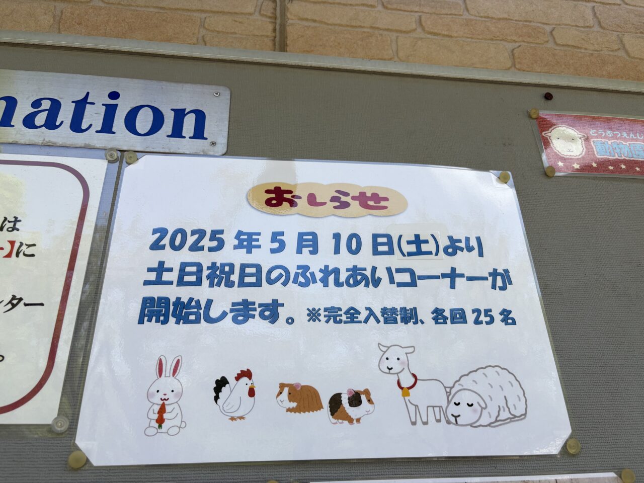 行船公園の自然動物園でヒツジの毛刈りショー