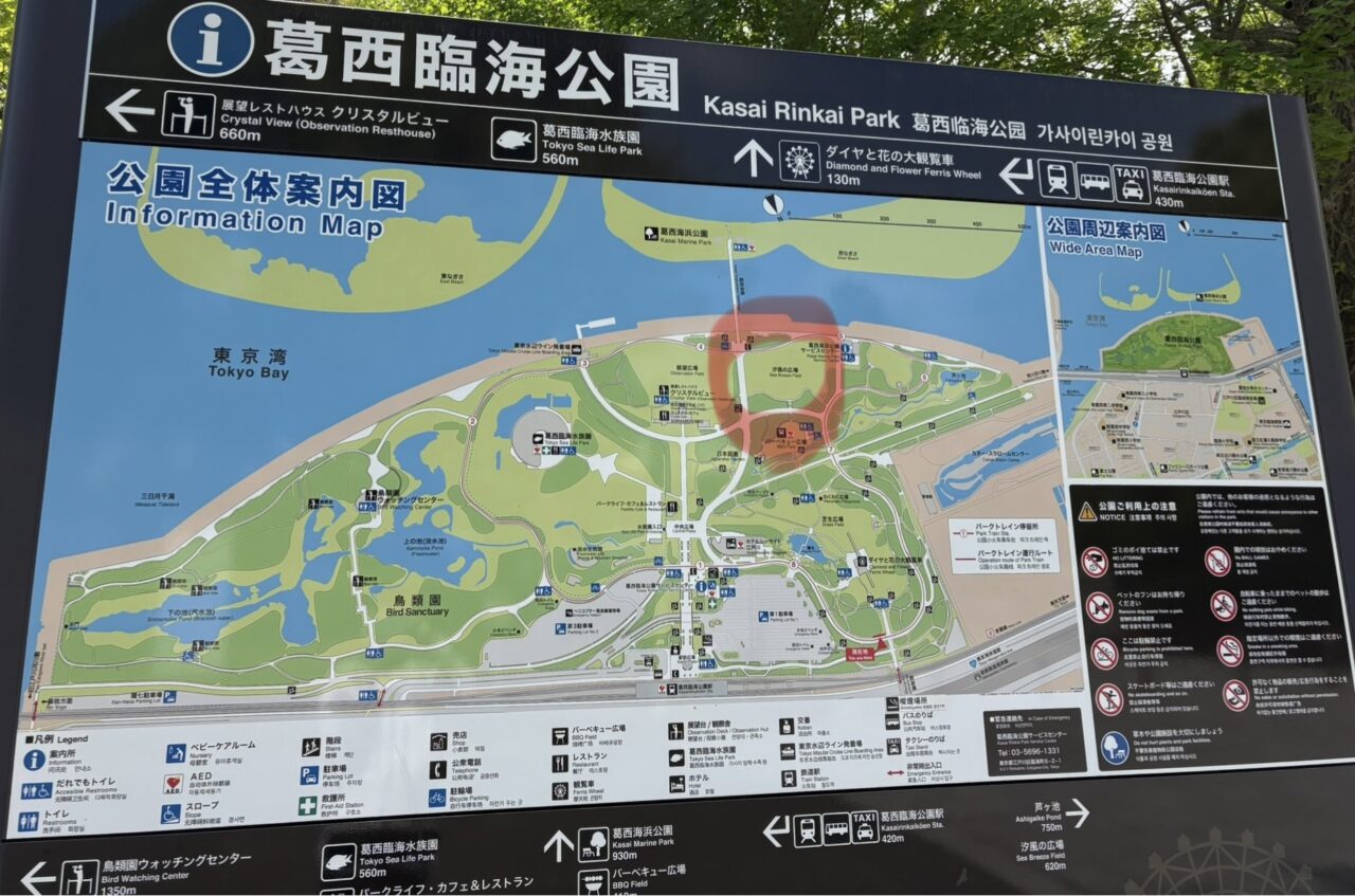 park cinema festibal in葛西臨海公園