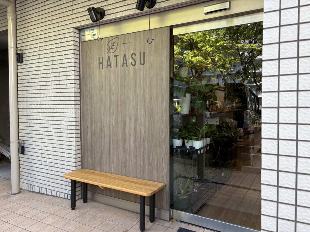 西葛西にある観葉植物とカフェのお店「HATASU」