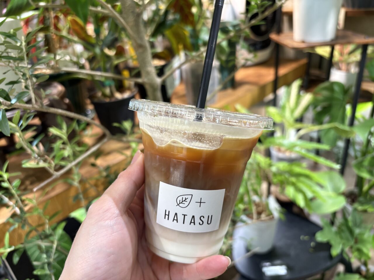 西葛西にある観葉植物とカフェのお店「HATASU」