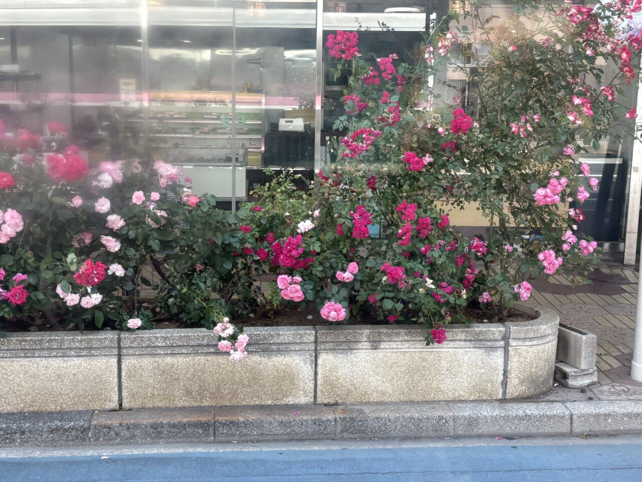小岩の花壇コンクールのお知らせ