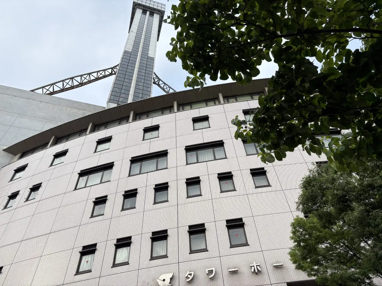 第43回伝統工芸展のお知らせ