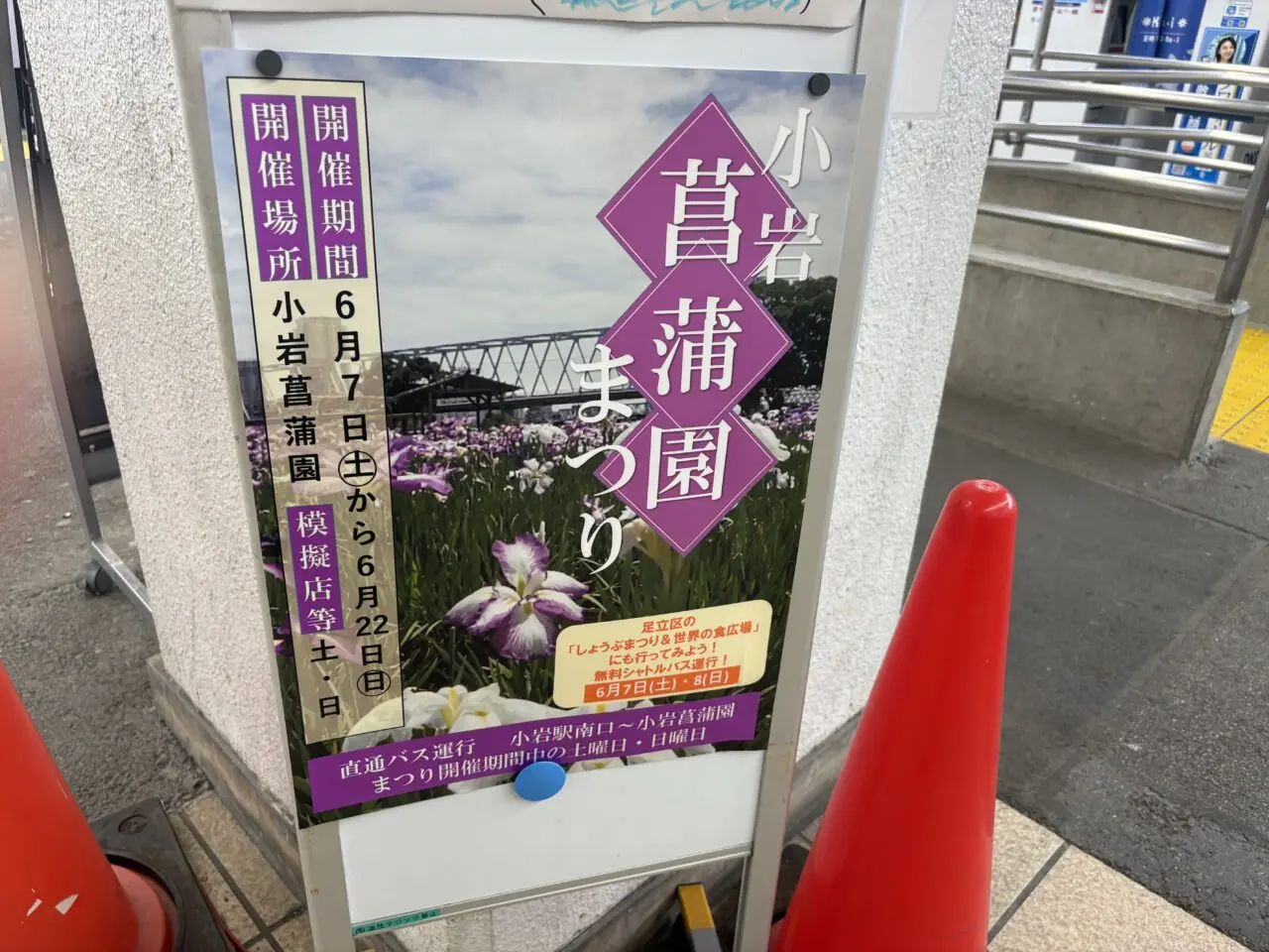 見頃を迎えている小岩菖蒲園まつり