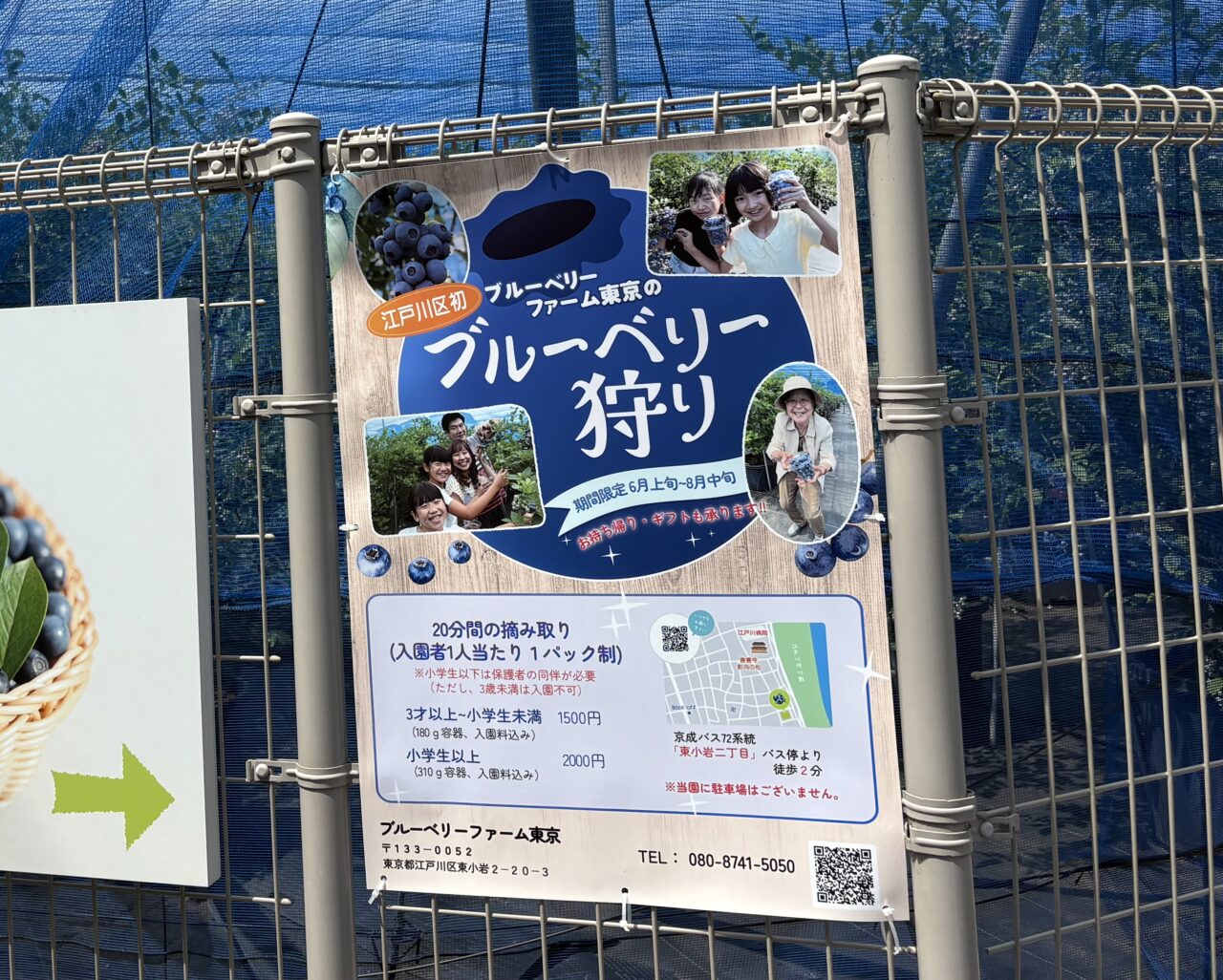 江戸川区内唯一のブルーベリー狩りができる農園ブルーベリーファーム東京