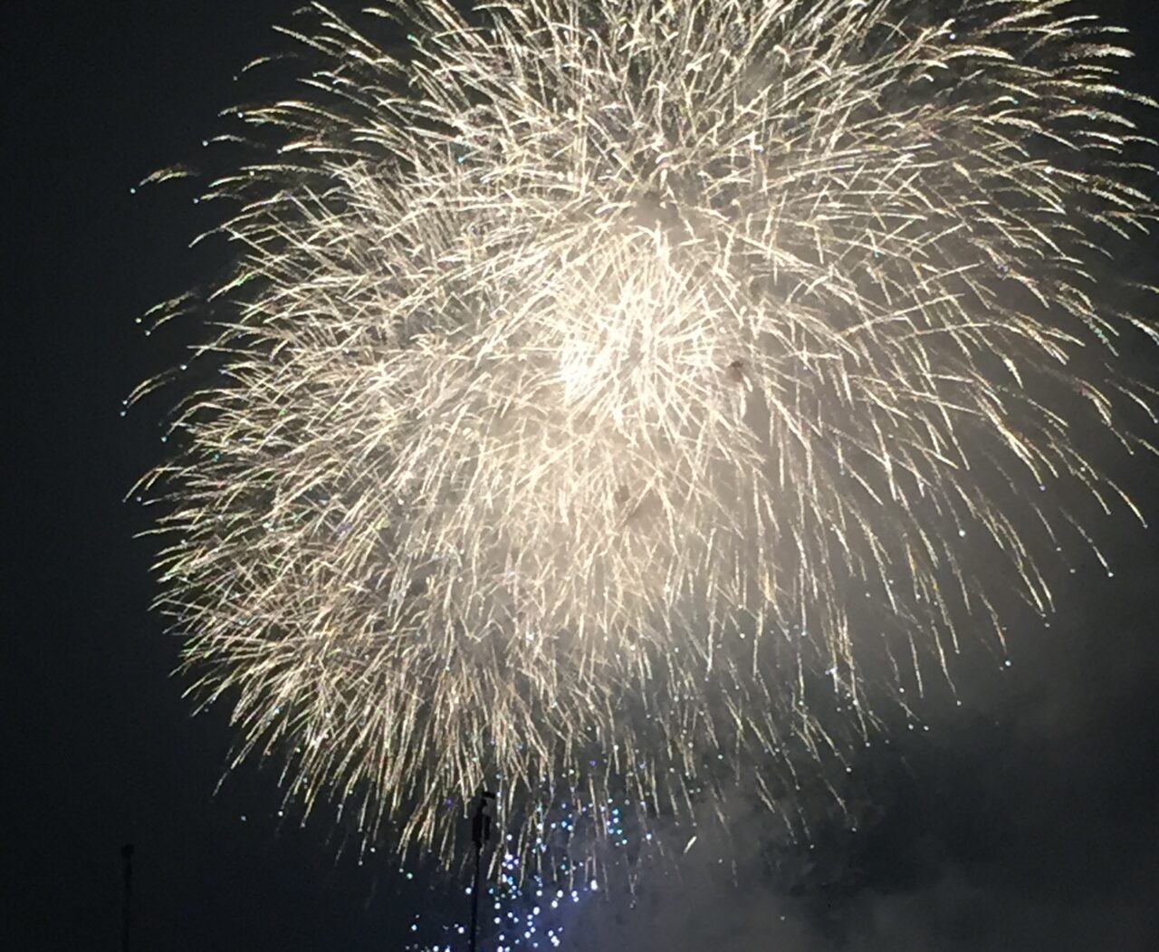 第50回江戸川区花火大会