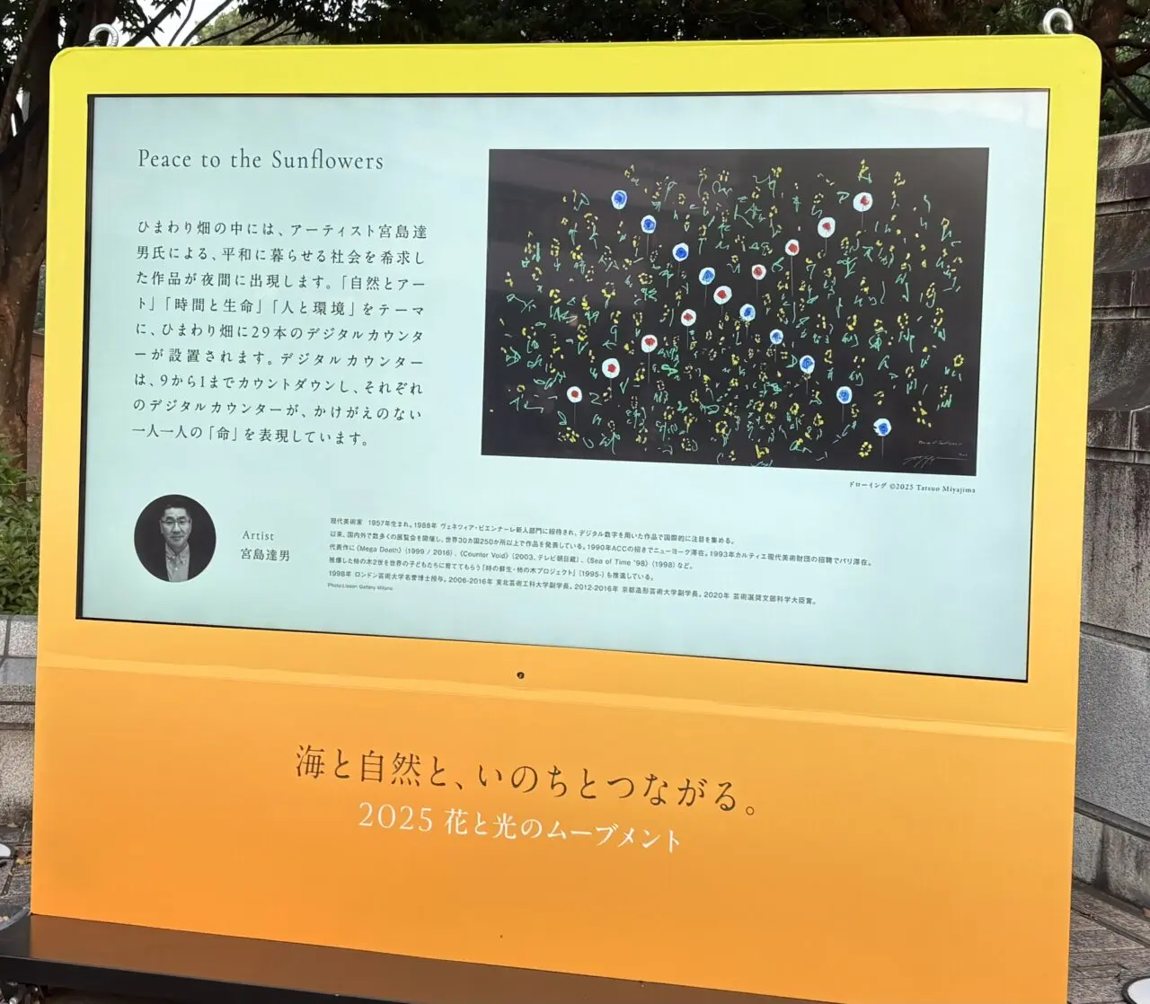2025年葛西臨海公園のひまわり畑とライトアップ