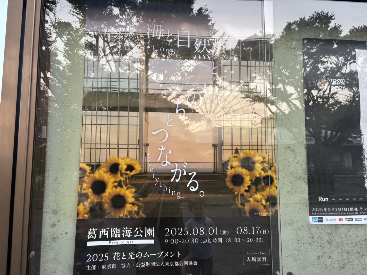 2025年葛西臨海公園のひまわり畑とライトアップ