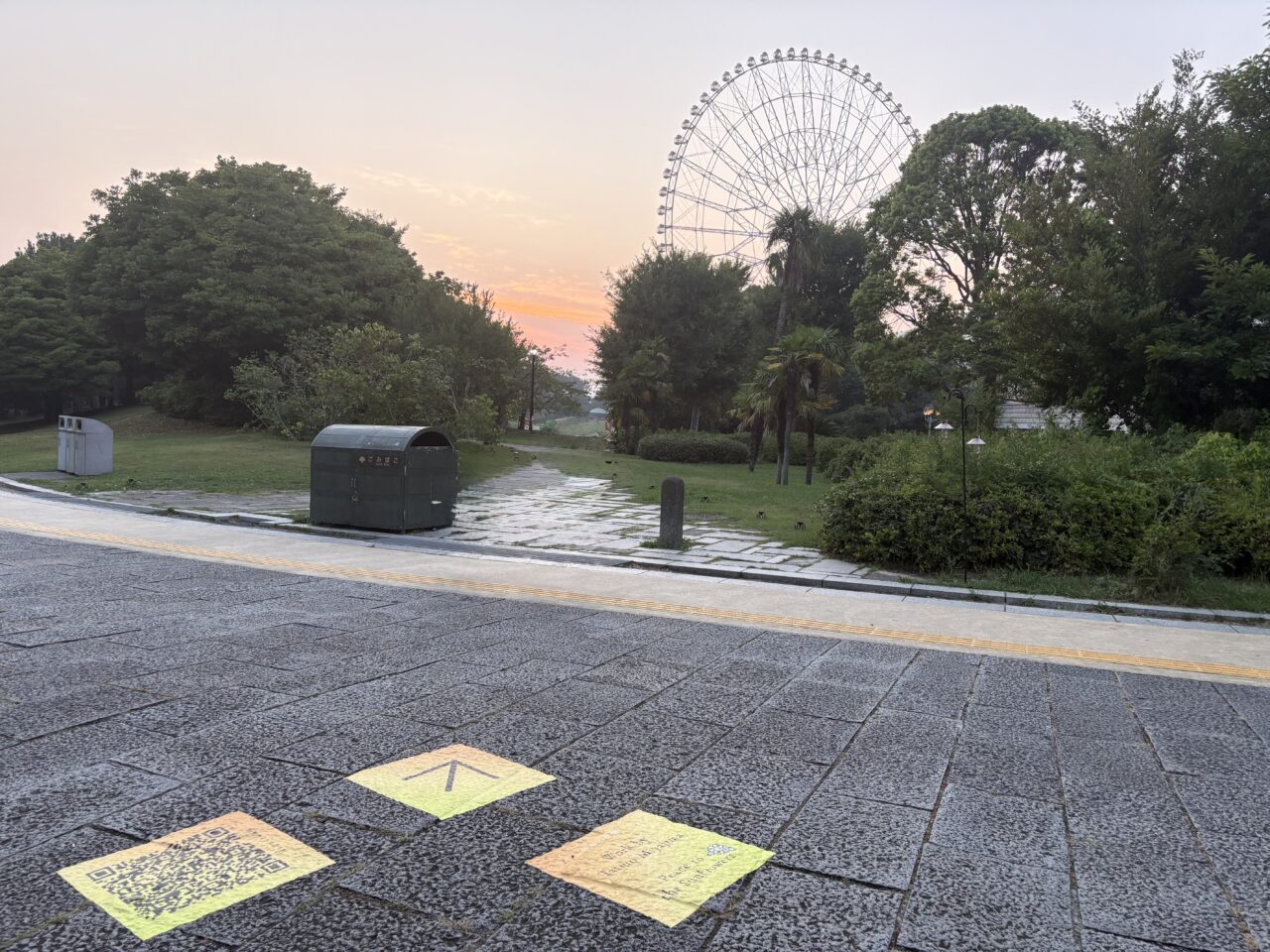 2025年葛西臨海公園のひまわり畑とライトアップ