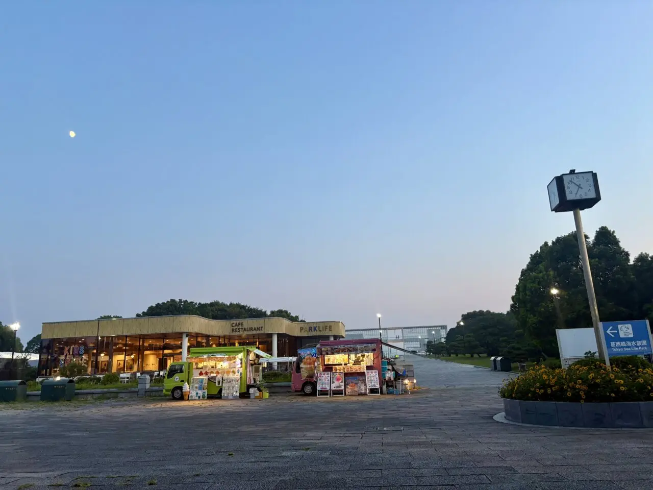 2025年葛西臨海公園のひまわり畑とライトアップ