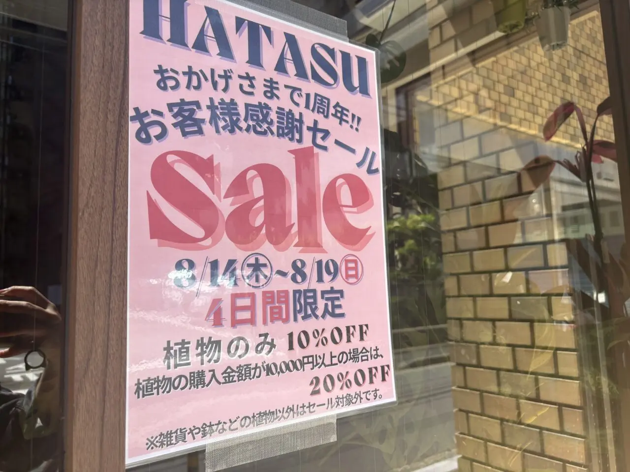 葛西の観葉植物とカフェのお店HATASUが1周年記念セール