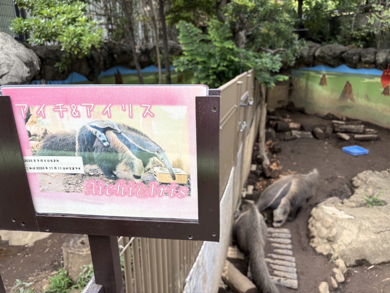 行船公園にある自然動物園