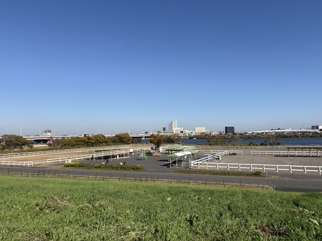 篠崎ポニーランド50周年ポニフェス