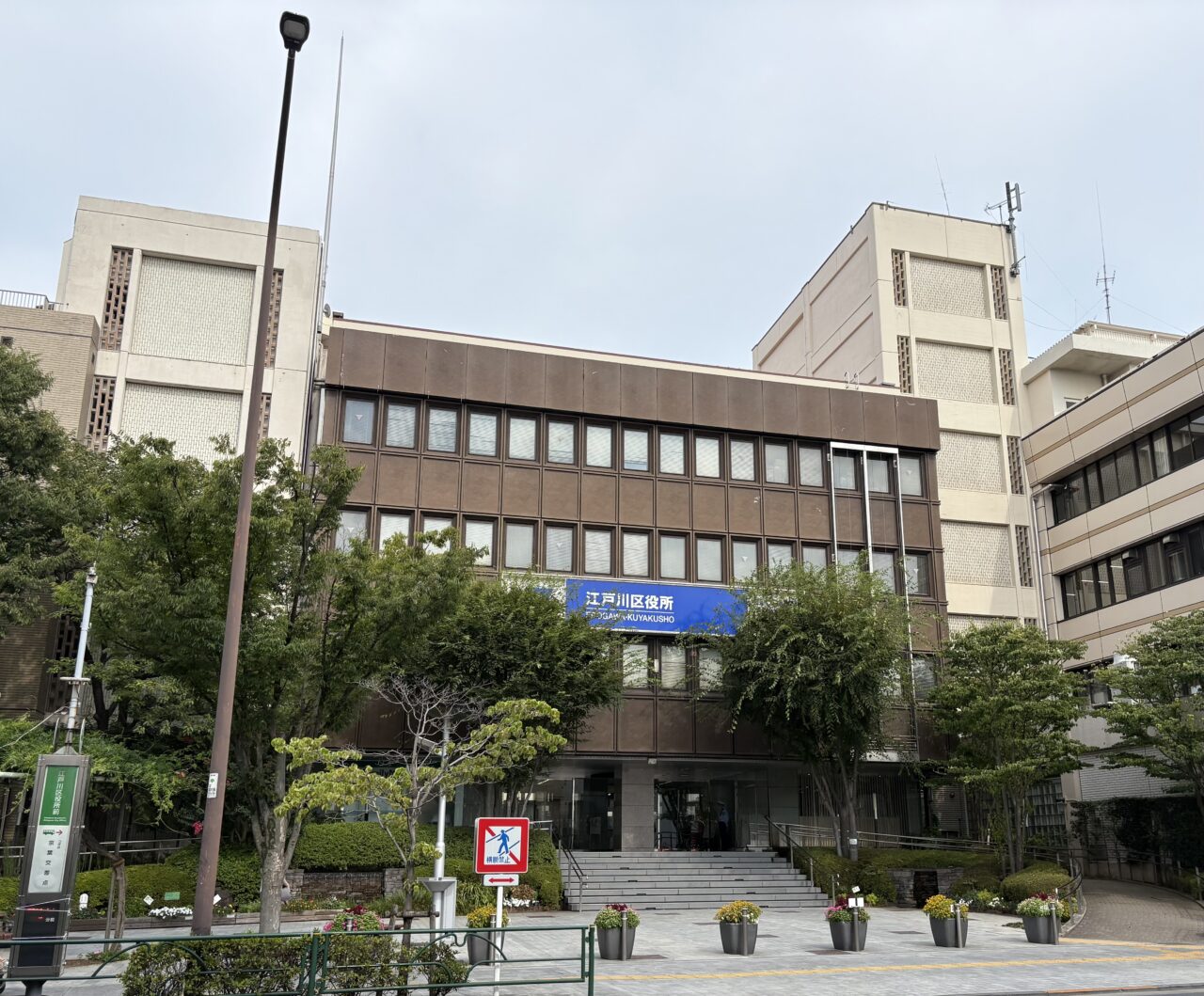 江戸川区でイノシシの目撃情報が相次ぐ、注意喚起