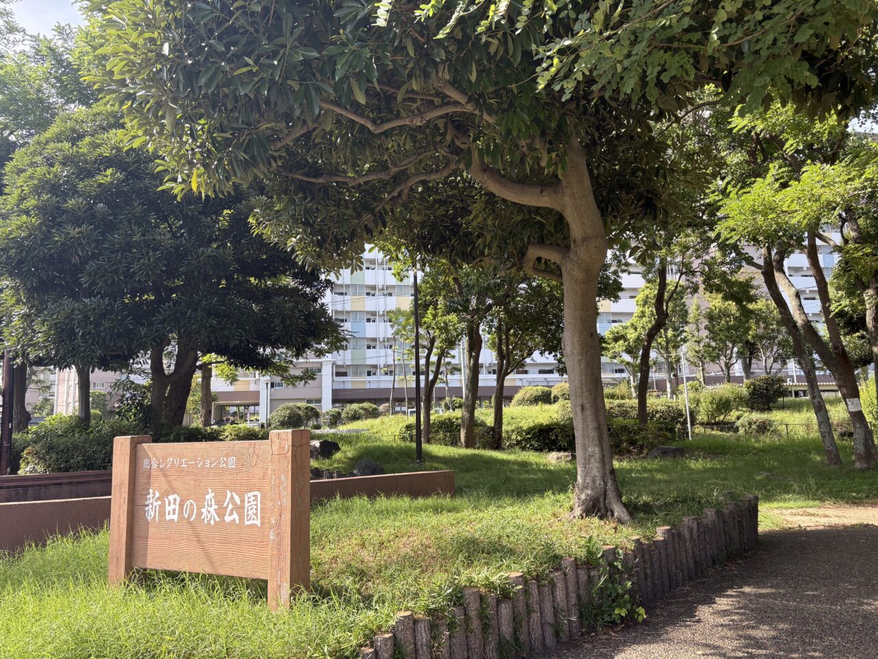 西葛西のえどイン・フェス25延期