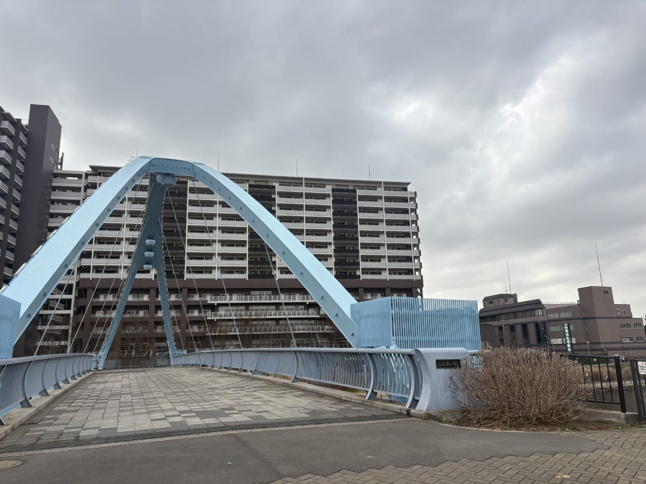 ドラマリブートのロケ地でもあるふれあい橋から見た河津桜、平井