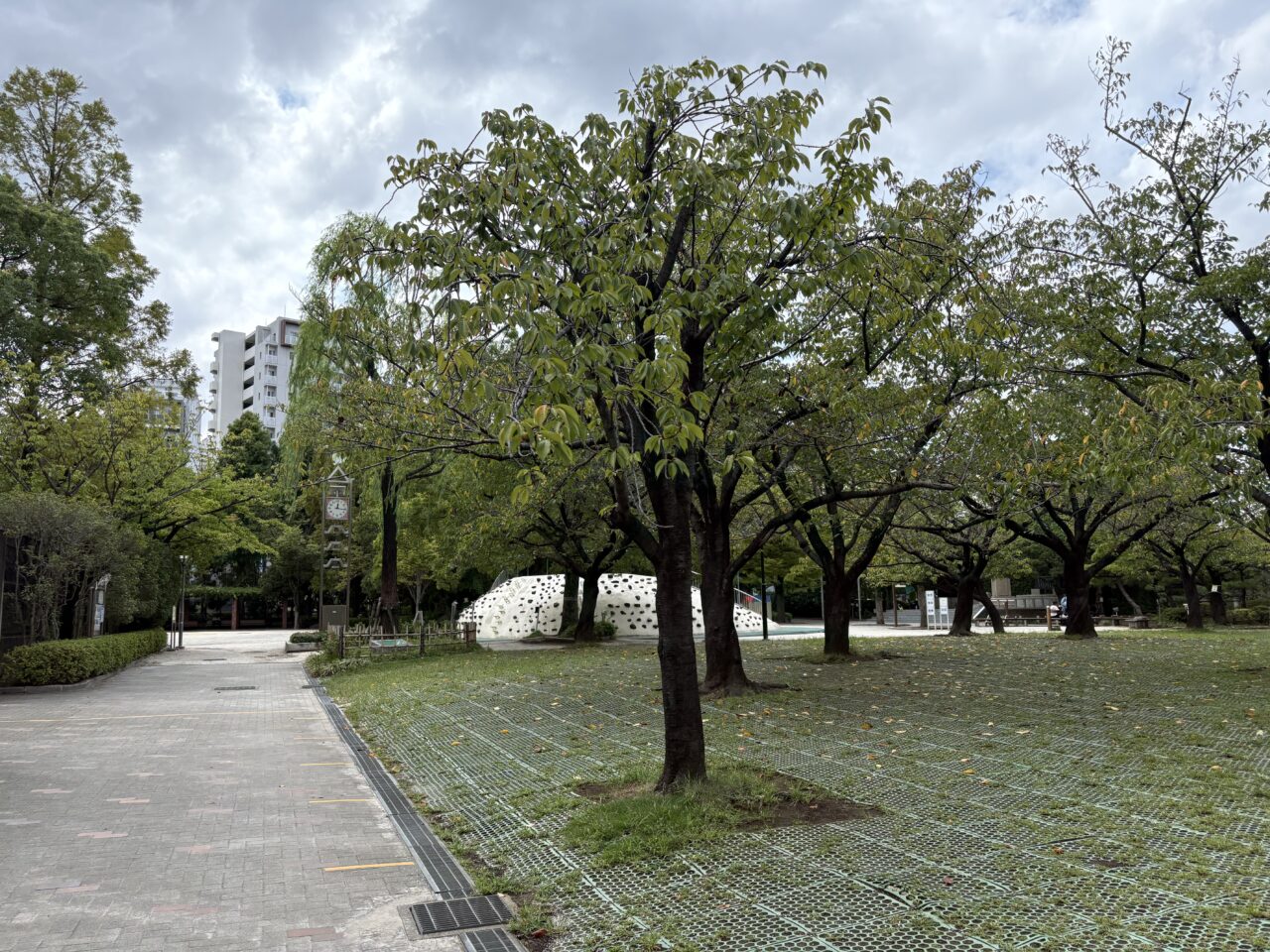 江戸川区の行船公園、Snow man