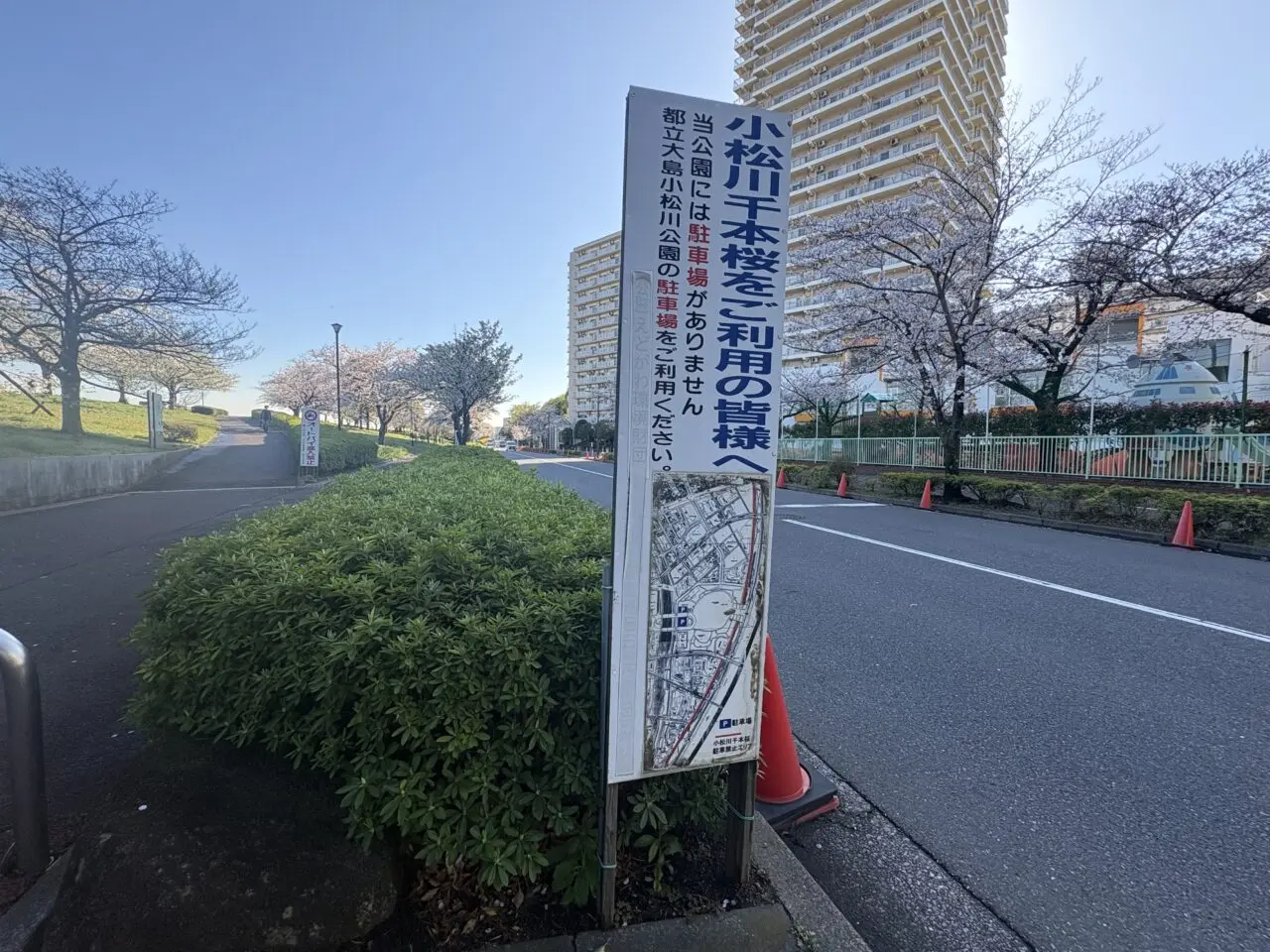 江戸川区の小松川千本桜まつり2026、大島小松川公園