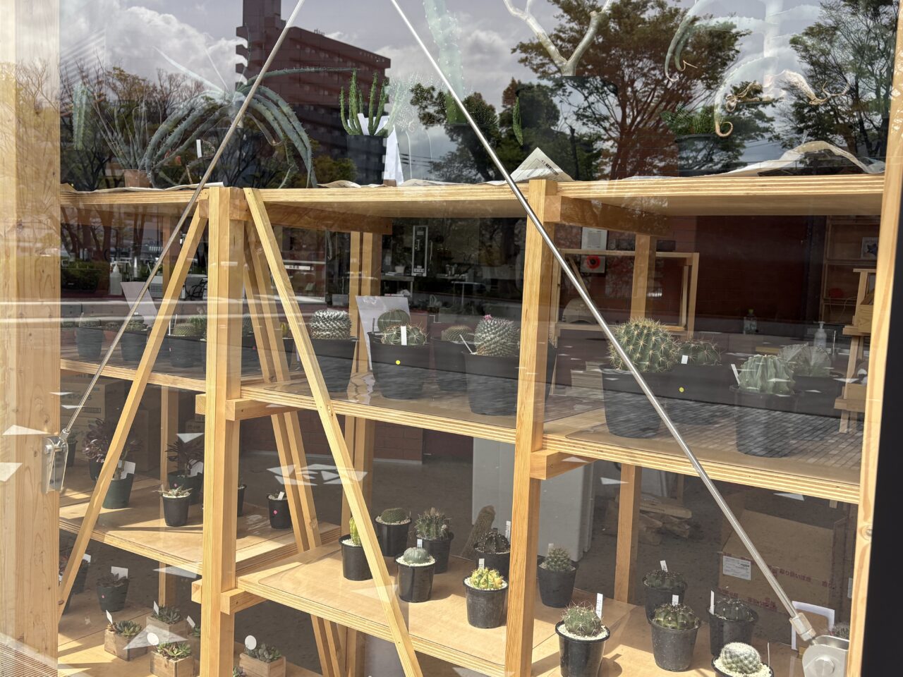 ひげぞ〜のもぐもぐCAFEが江戸川区総合レクリエーション公園にオープン