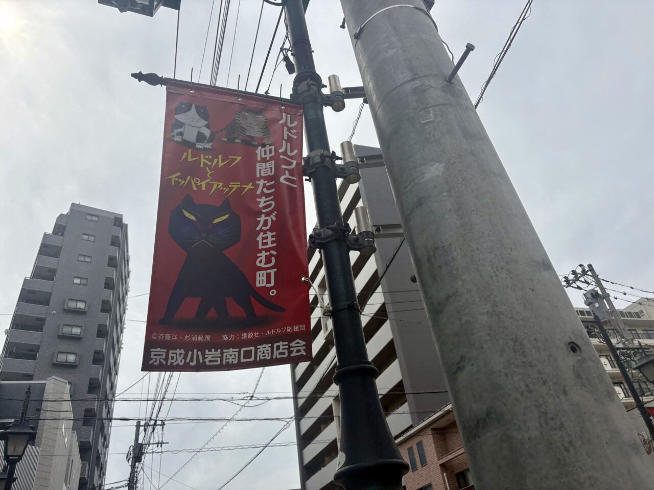 くろねこルドルフの町の盆踊りが上小岩小学校で開催