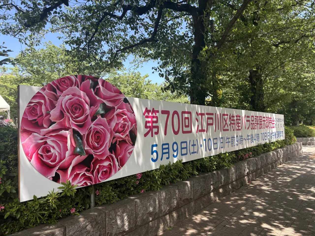 第70回江戸川区特産バラ品評展示即売会