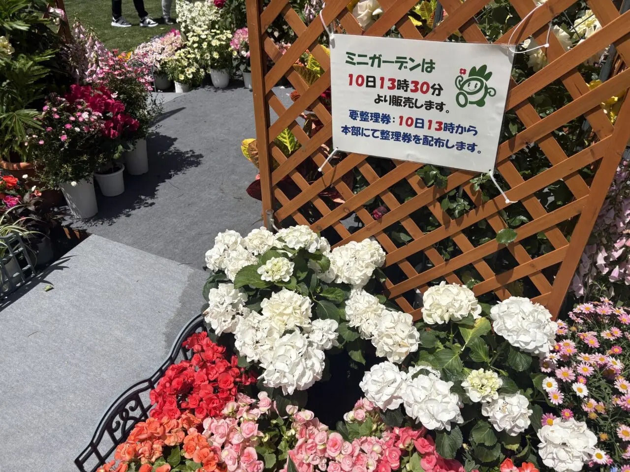 第70回江戸川区特産バラ品評展示即売会