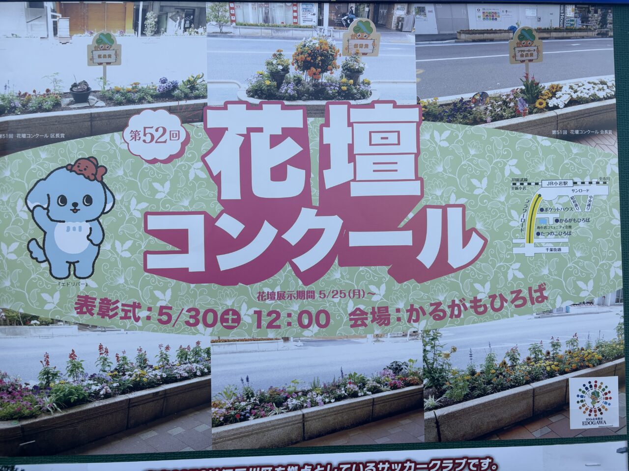 小岩で花壇コンクールとフラワーまつりが開催、交通規制も