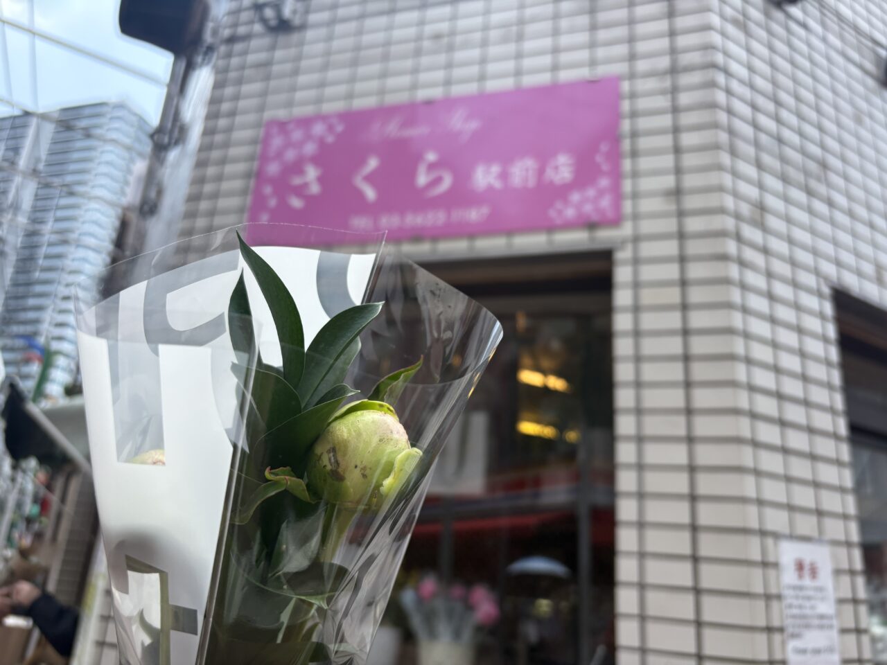 小岩でこいわの日2026が開催中