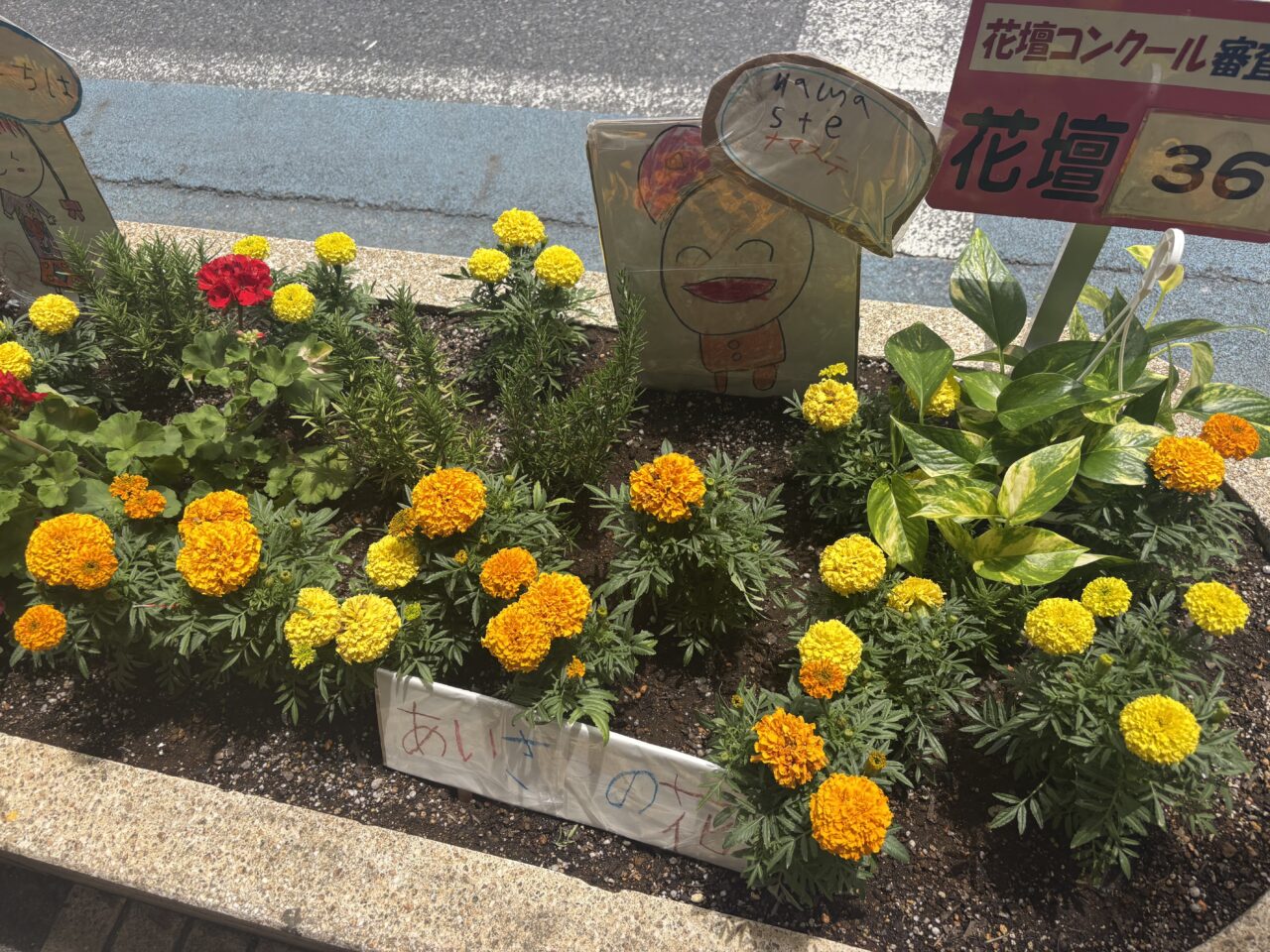 小岩で花壇コンクールとフラワーまつりが開催、交通規制も