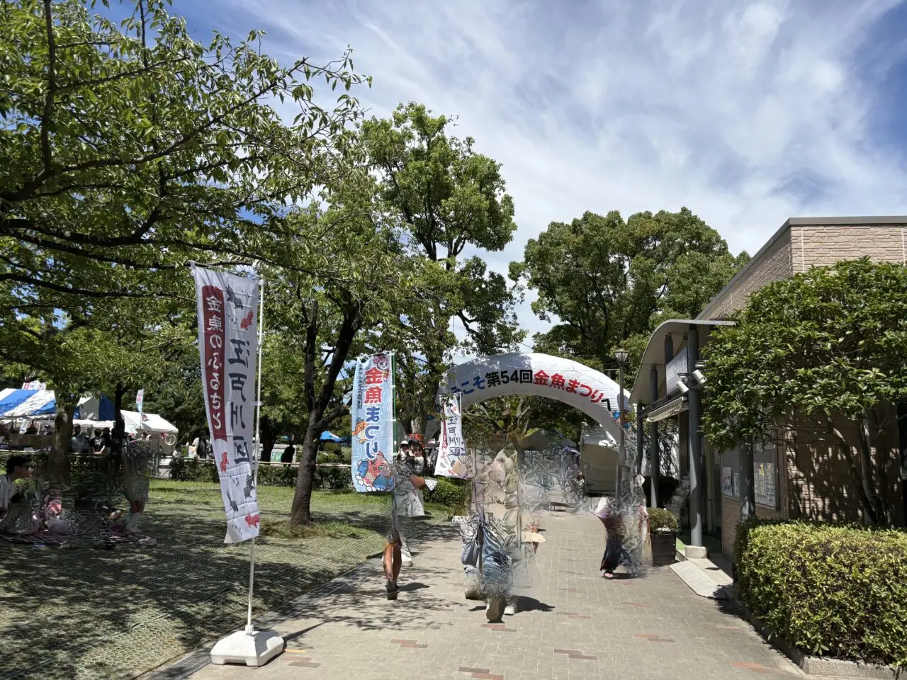 第55回江戸川区特産金魚まつりが開催、今年は事前申込制