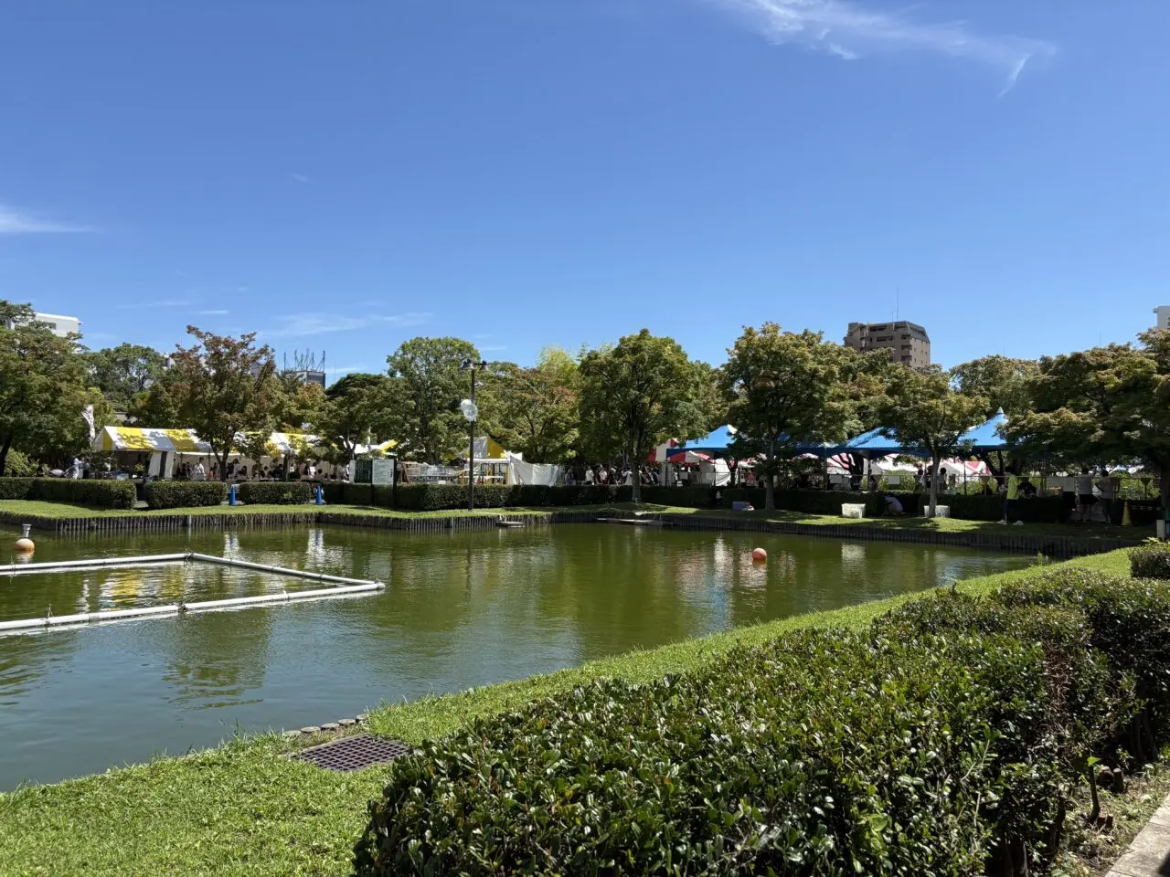 第55回江戸川区特産金魚まつりが開催、今年は事前申込制