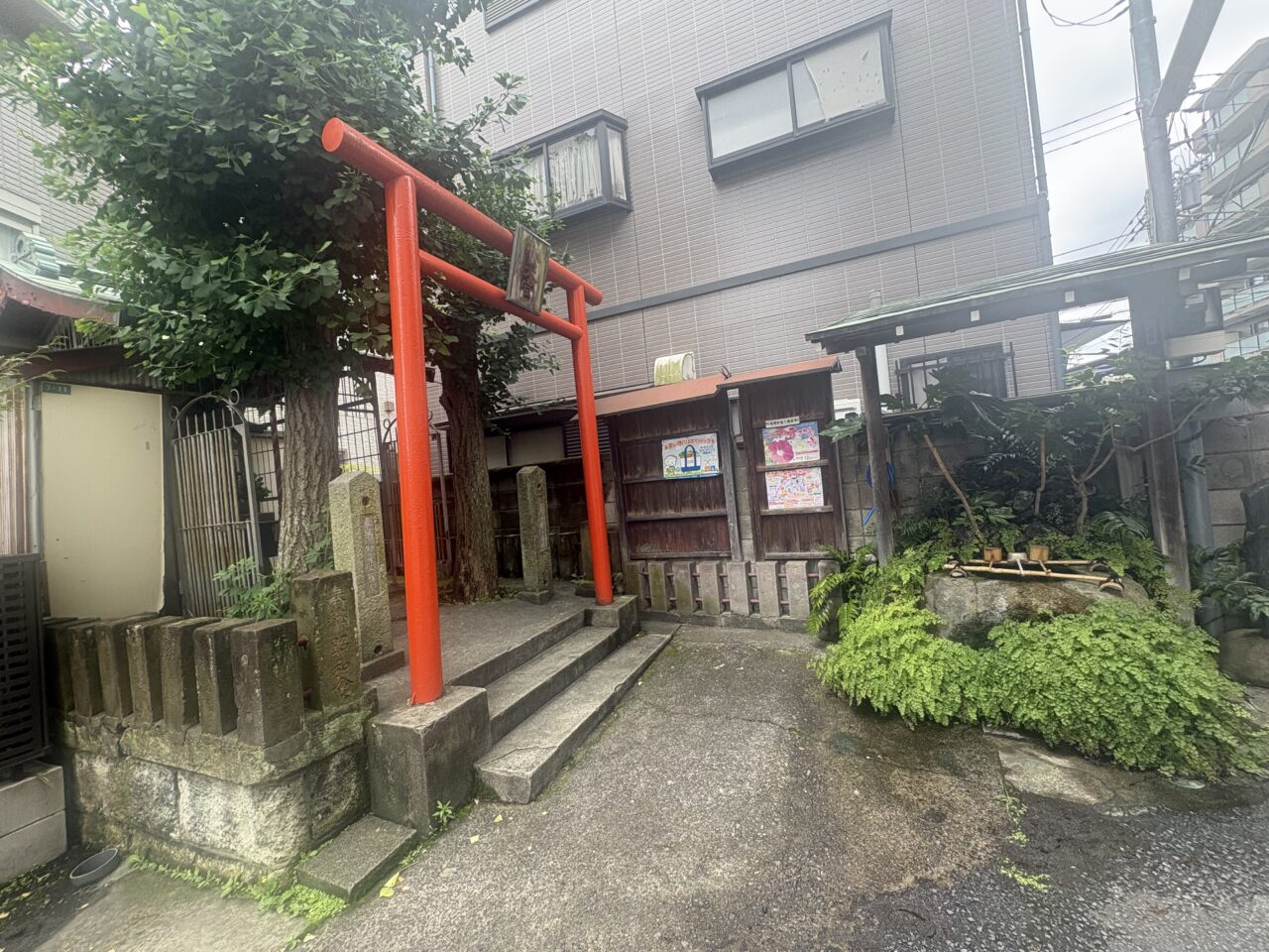 小岩サマーセールとあさがお市が開催