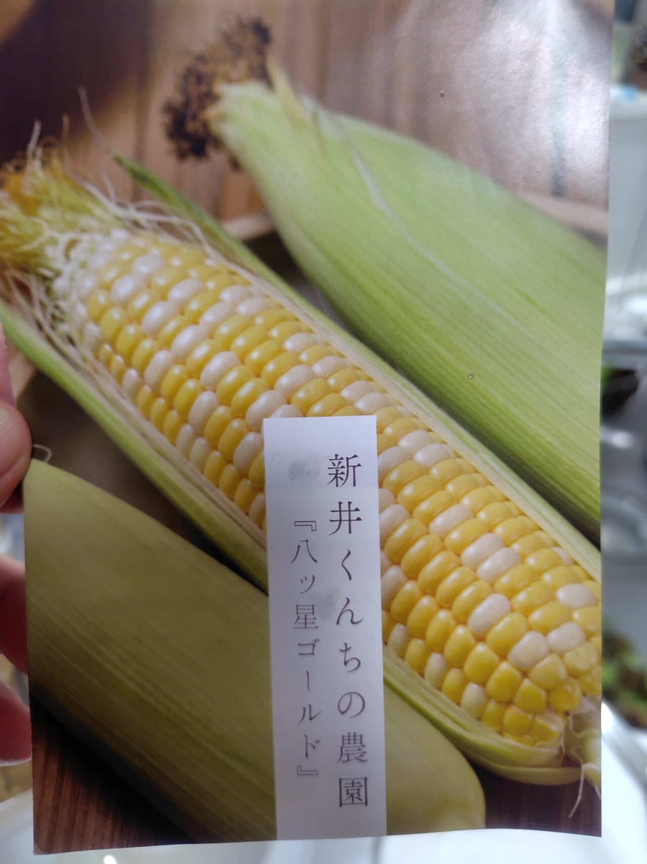 田中農場の自動販売機にとうもろこしが期間限定で入荷中