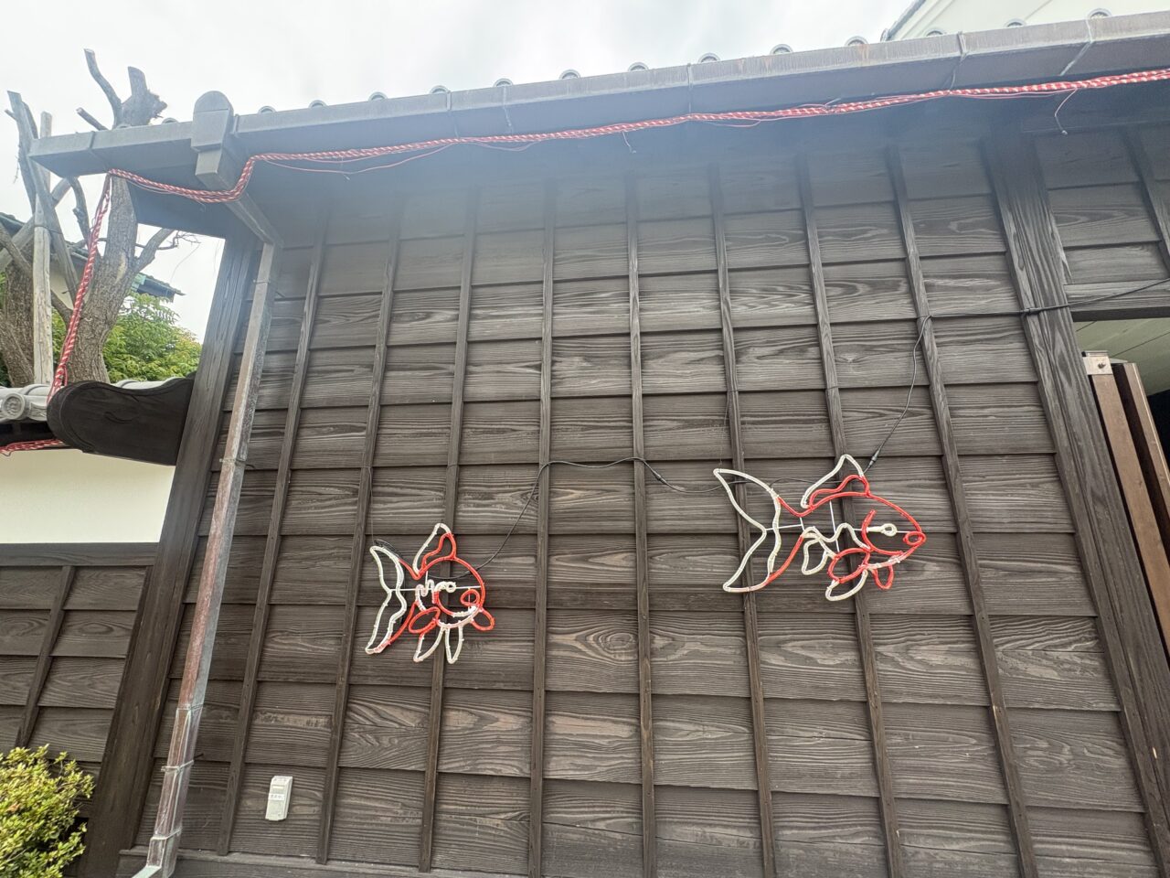 新川さくら館で夏祭り縁日と金魚イルミネーション