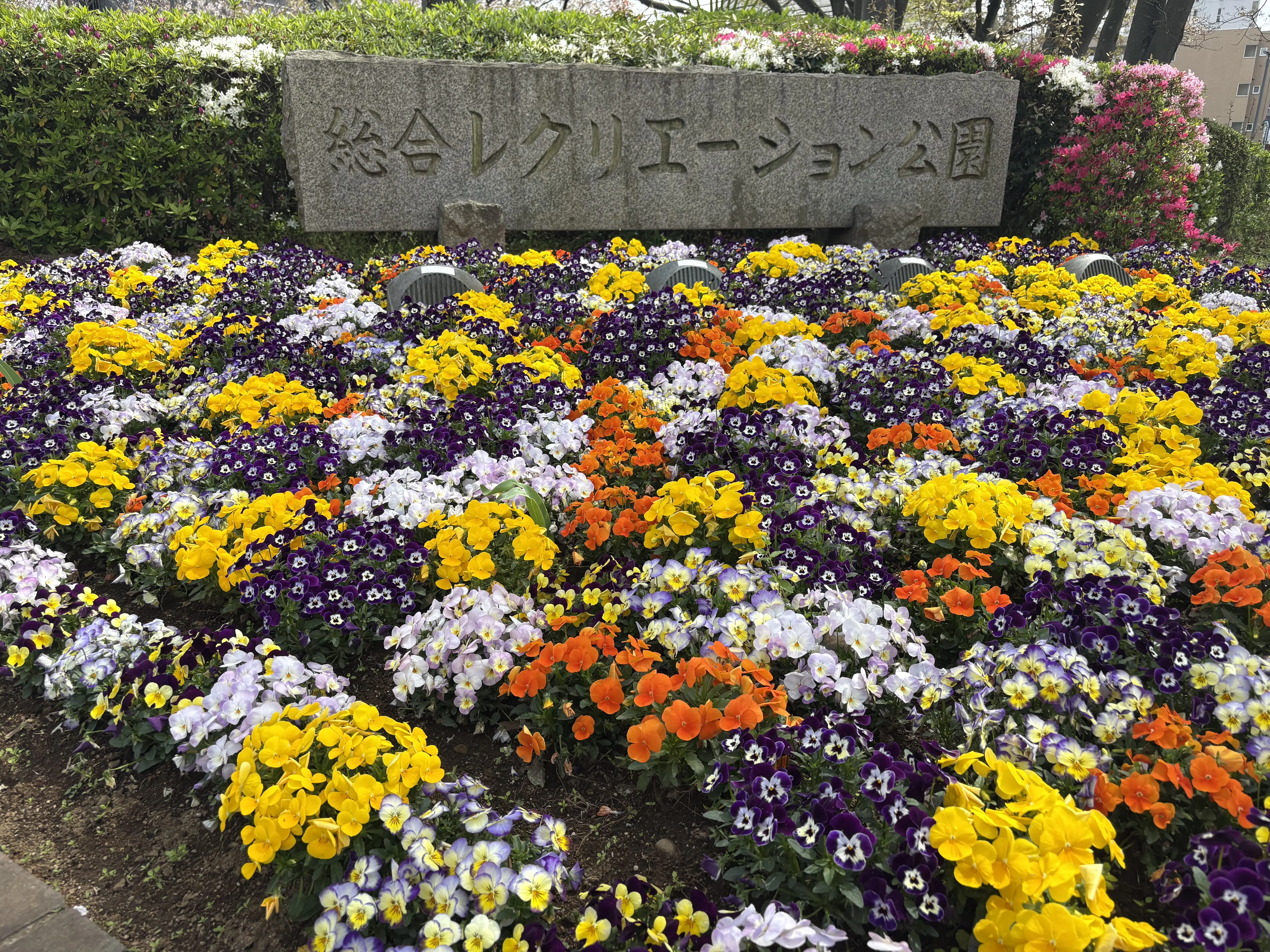 凄いもん祭り開催